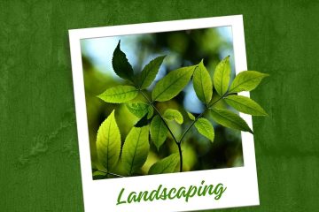 Gardening image